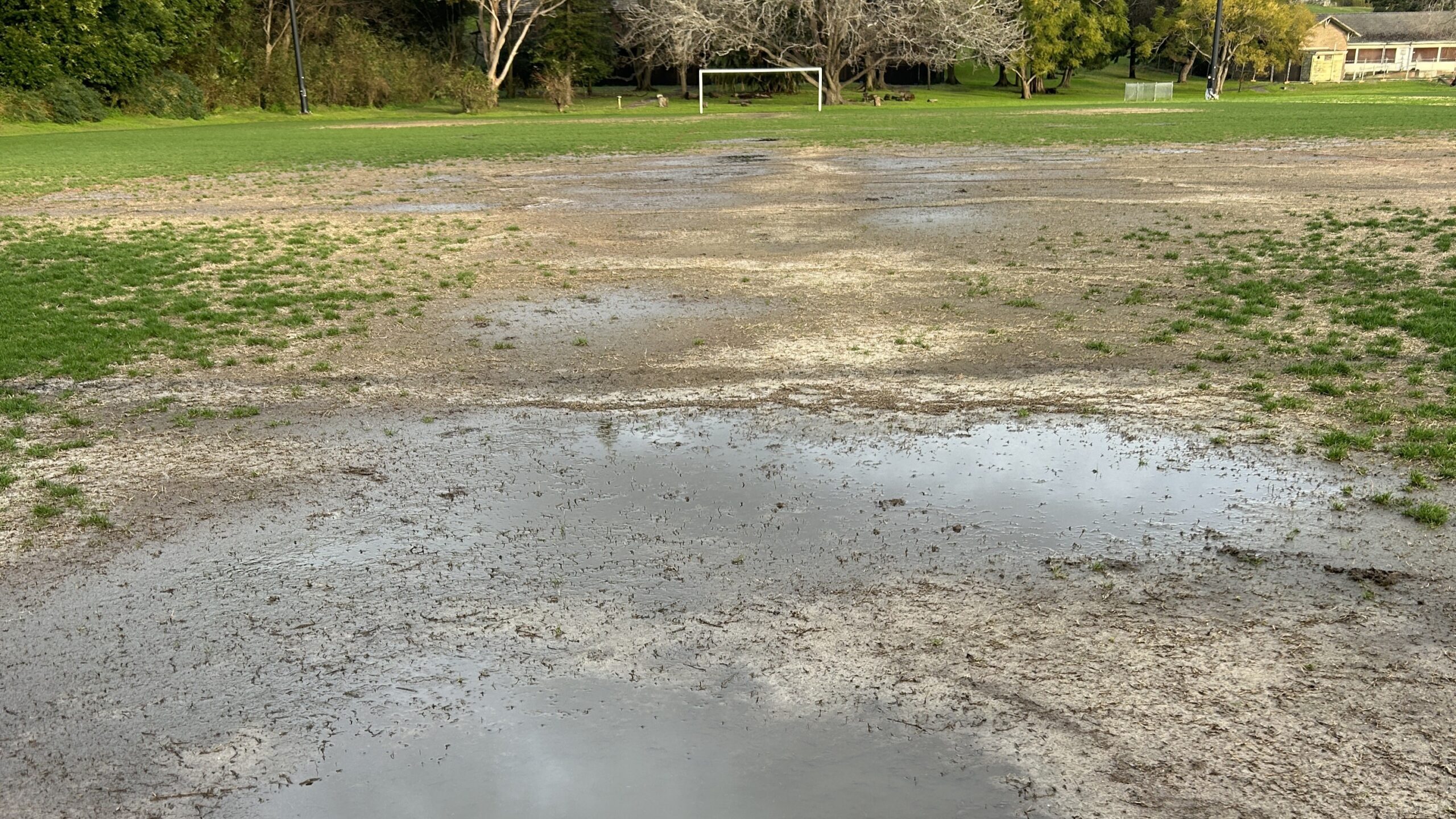 Waterfront Field 2 at Callan Park